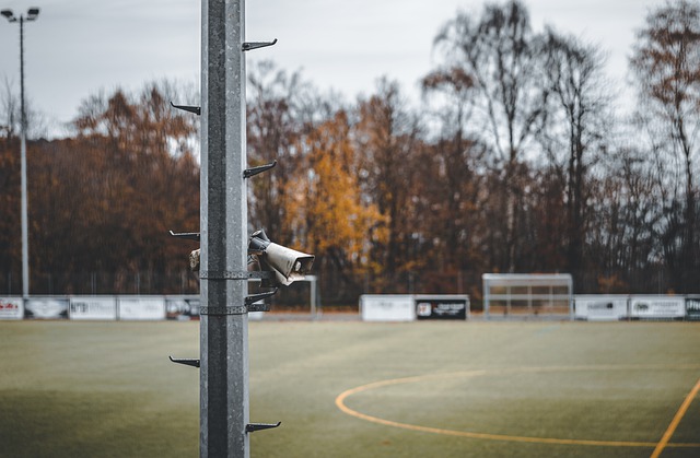 情而坚定的 情而坚定的