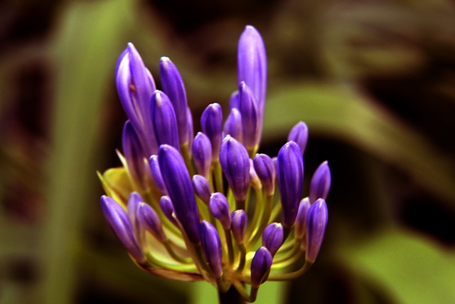 伊万：国足少一人确实很难 永远是下一场更关键.