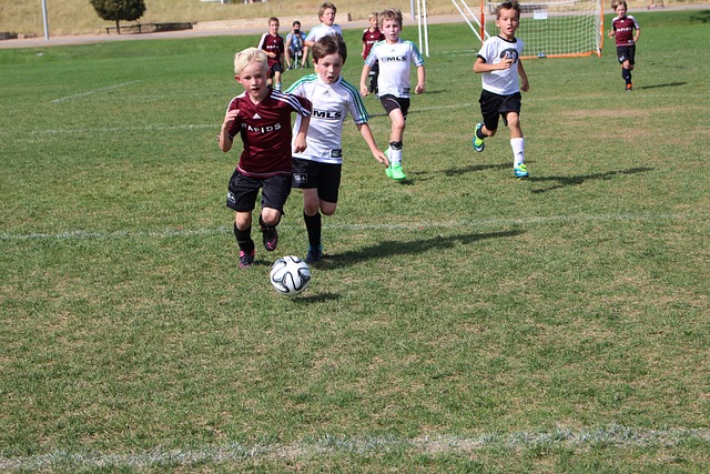 东契奇的优 东契奇的优